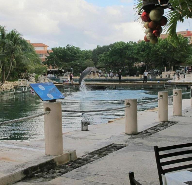 Puerto Aventuras, Departamento A Unos Pasos De La Playa Lejlighed Eksteriør billede