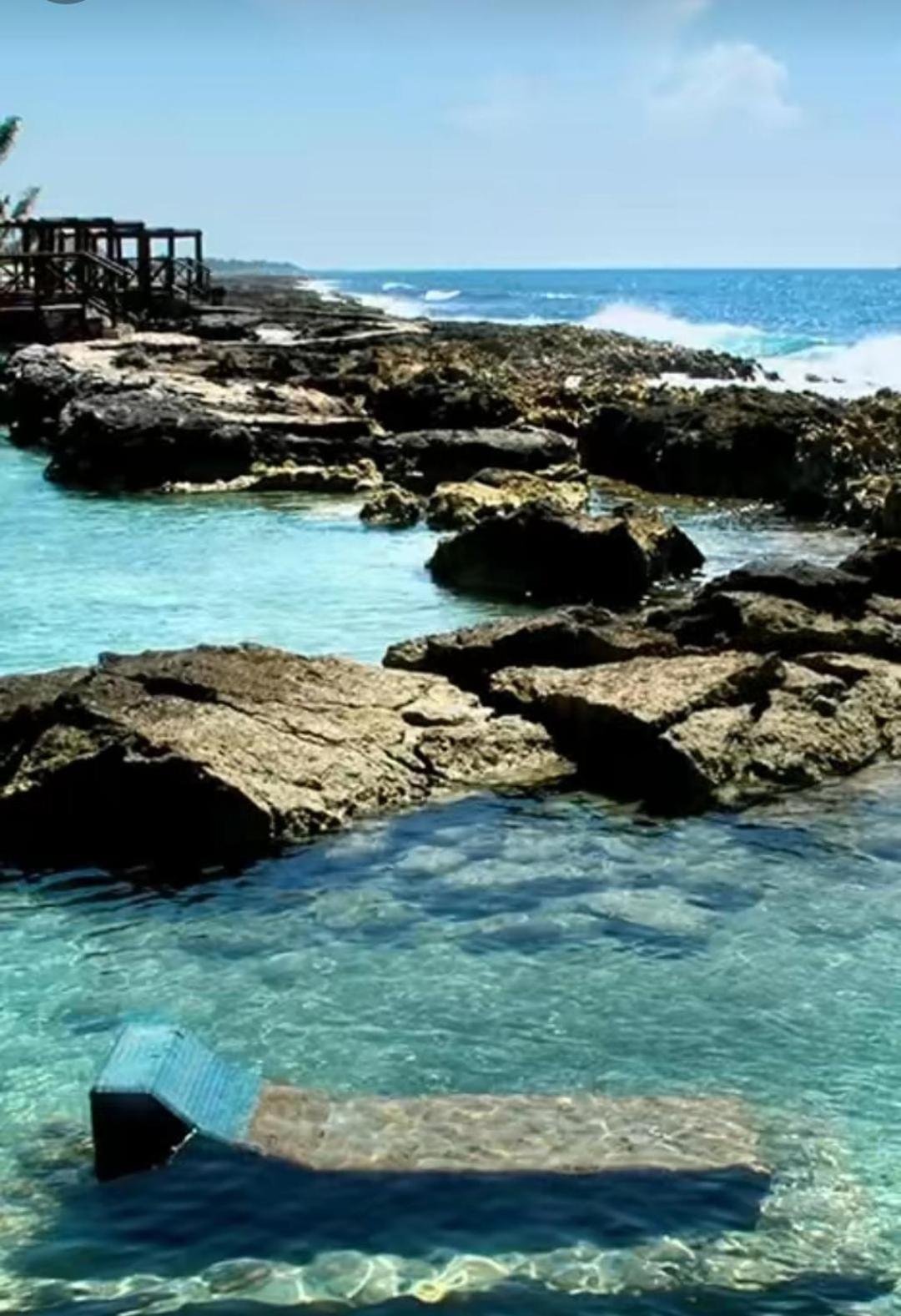 Puerto Aventuras, Departamento A Unos Pasos De La Playa Lejlighed Eksteriør billede