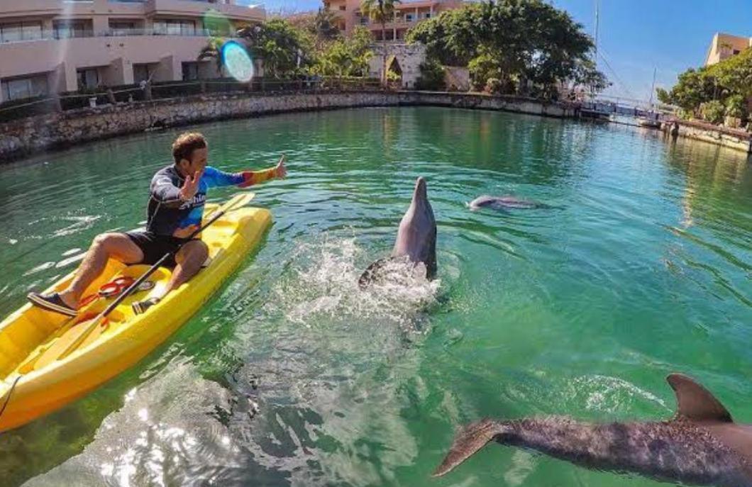 Puerto Aventuras, Departamento A Unos Pasos De La Playa Lejlighed Eksteriør billede